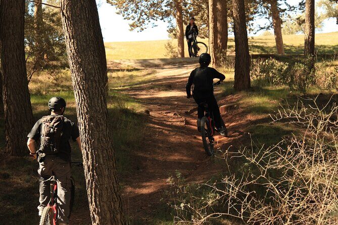 Granada: Nature, Wildlife and Authentic Villages E-bike Tour - Key Things You’ll Notice on This Granada E-Bike Tour