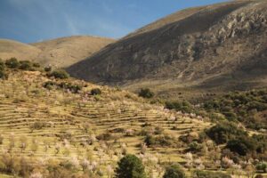 Granada: Nature, Wildlife and Authentic Villages E-bike Tour - Sierra Nevada National Park on an E-Bike: Where the Views Come With a Bit of Grit