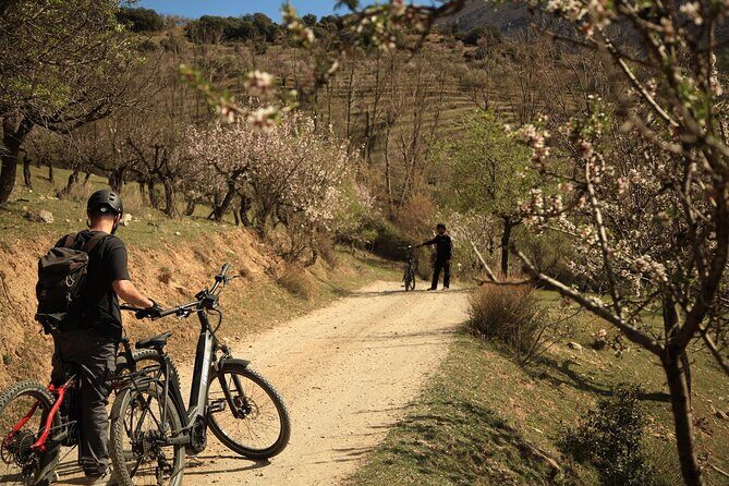 Granada: Nature, Wildlife and Authentic Villages E-bike Tour - Guide Support That Makes Technical Terrain Feel Manageable