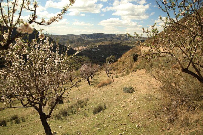 Granada: Nature, Wildlife and Authentic Villages E-bike Tour - How Hard Is It, Really: The Fitness and Bike-Handling Reality Check