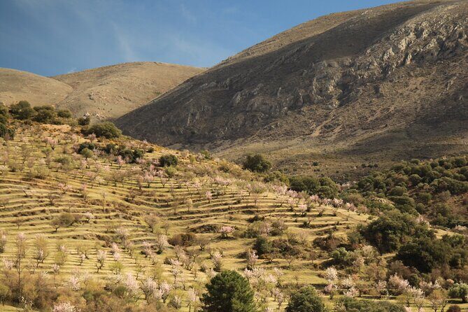 Granada: Nature, Wildlife and Authentic Villages E-bike Tour - Sierra Nevada National Park on an E-Bike: Where the Views Come With a Bit of Grit