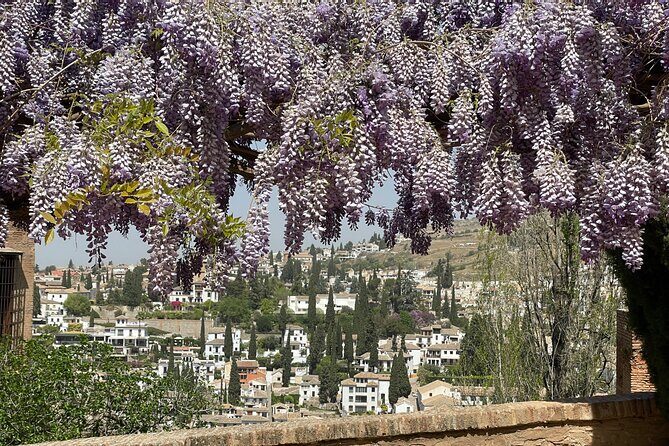 Granada : Private Alhambra Tour + Nazaries Palaces (VIP) - Nasrid Palaces: where calligraphy and architecture click