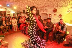Granada: Sacromonte Caves Flamenco Show with Dinner - Finding Cuevas Los Tarantos and Getting Settled