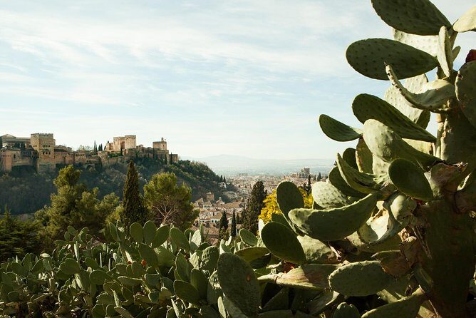 Granada: Sacromonte Private Tour - Granada’s Sacromonte and flamenco caves, timed for real life