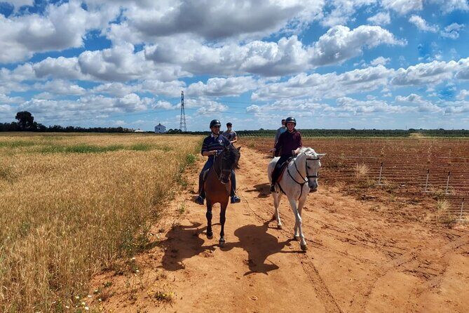 Granada & Sierra Nevada Horse Riding Tour - Pickup, Meeting Point, and How to Plan Your Timing
