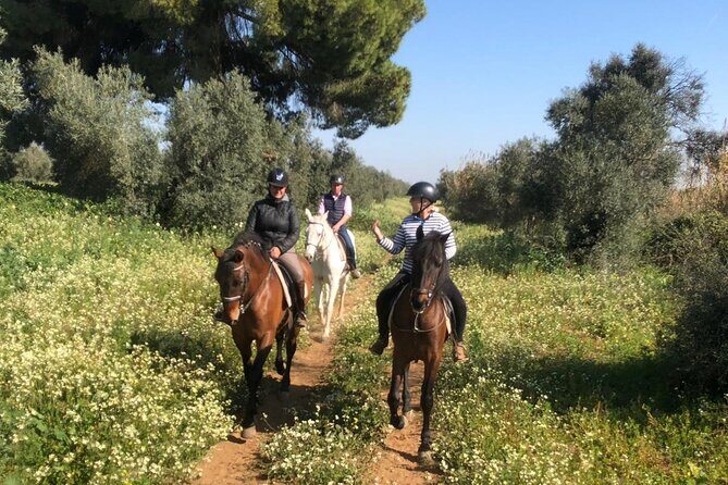 Granada & Sierra Nevada Horse Riding Tour - Two Ranch Options When It’s Just You (or a Small Group)