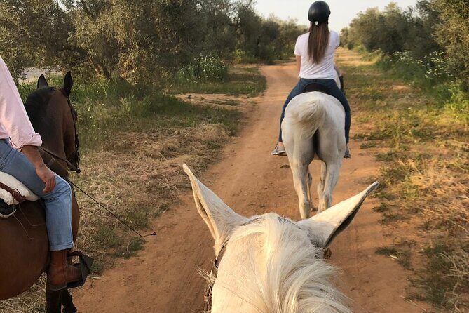 Granada & Sierra Nevada Horse Riding Tour - Price and Value: Is It Worth $150.51?