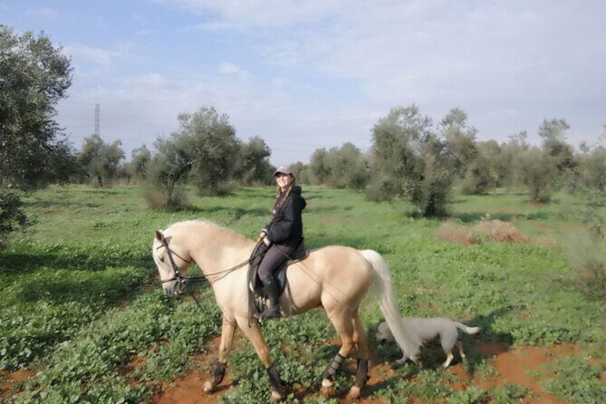 Granada & Sierra Nevada Horse Riding Tour - Weather, Shortened Rides, and How to Keep It From Throwing You Off