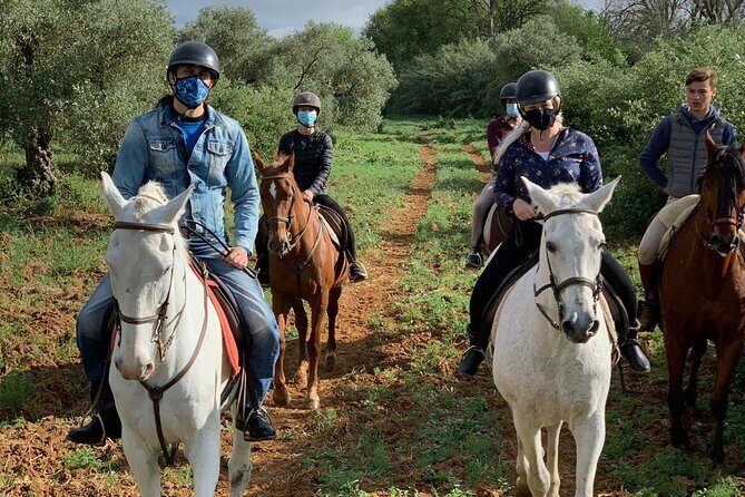 Granada & Sierra Nevada Horse Riding Tour - Riding Time, Technique, and What You’ll Notice Most