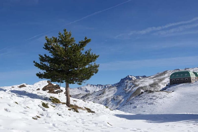 Granada: Sierra Nevada Safari Tour to 2500 m with a Drink - Price and Value: Why $85 Feels Fair for a Full 7-Hour Mountain Day