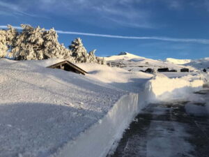 Granada: Sierra Nevada Safari Tour to 2500 m with a Drink - Getting Out of Granada: 4x4 Comfort, Real Mountain Tracks, and Time in the Right Places