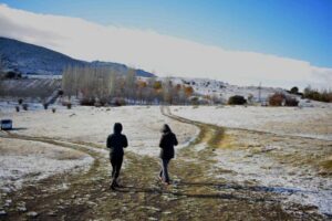 Granada: Small Group Tour to Sierra Nevada - Should you book this Sierra Nevada tour from Granada?