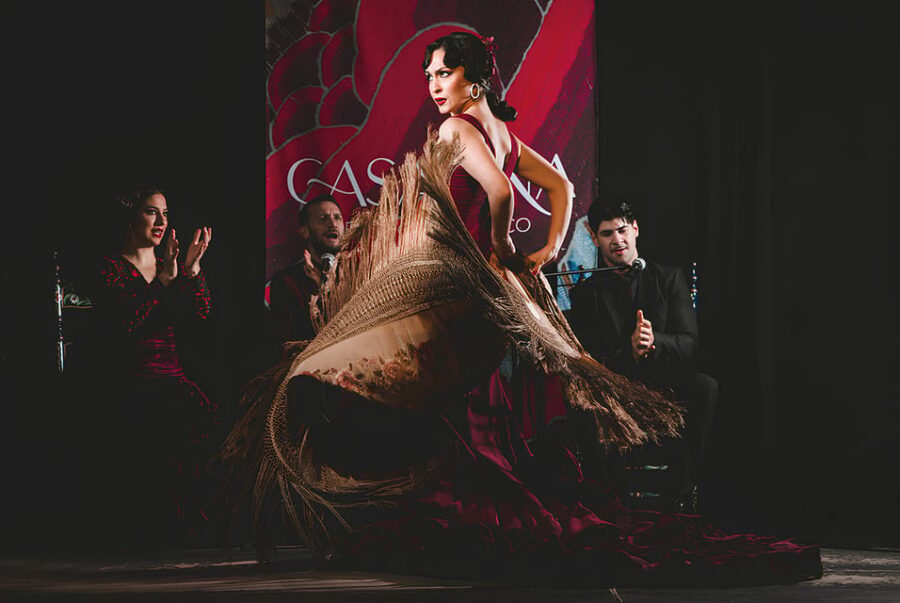 Granada: Traditional Flamenco Show at Tablao Casa Ana - Why Tablao Casa Ana Is Worth Your 1-Hour Slot in Granada