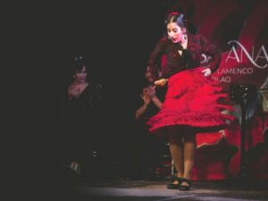 Granada: Traditional Flamenco Show at Tablao Casa Ana - Inside the Tablao: Sound, Lighting, and the Curtain Reveal