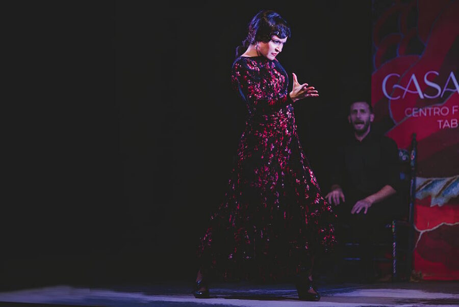 Granada: Traditional Flamenco Show at Tablao Casa Ana - Who This Flamenco Show Fits Best