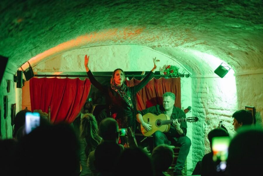 Granada: Traditional Flamenco Show in a Cave Entry Ticket - A Cave Show at the Foot of the Alhambra