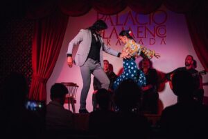 Grenada: Flamenco Palace, the best show in the center - Price and What $19.35 Really Buys in Granada
