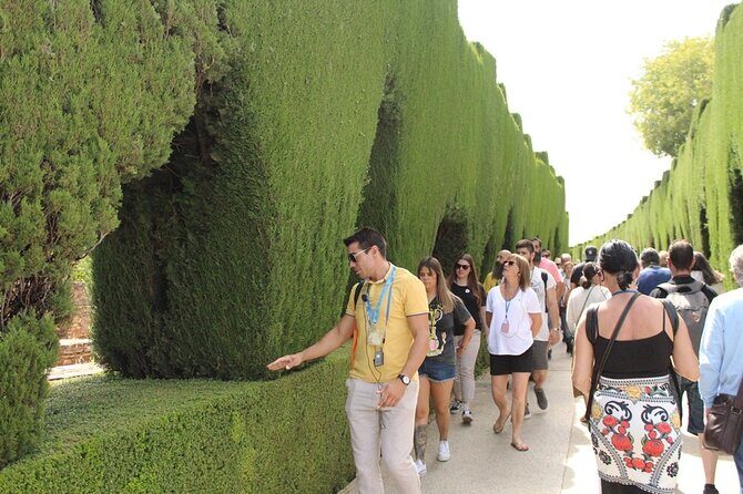 Guided visit to the Alhambra, Nasrid Palaces and Generalife - Your 3-hour rhythm: tickets, group size, and where you start