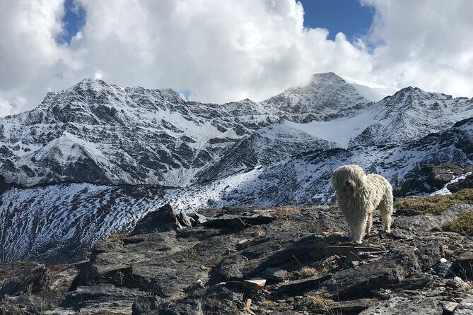 Hiking experience in the High Sierra Nevada National Park - Getting out of Granada and into the Sierra Nevada air
