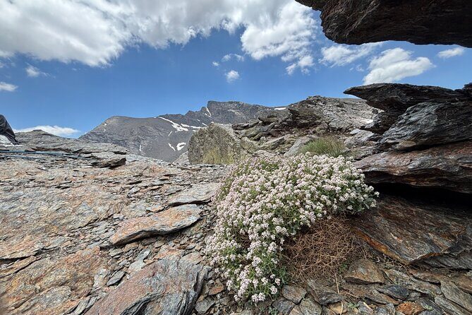 Hiking experience in the High Sierra Nevada National Park - What you’ll see: goats, eagles, and migratory birds