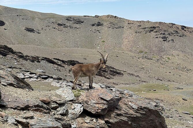 Hiking experience in the High Sierra Nevada National Park - San Juan Valley: the glacial start that sets the tone