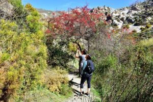 Hiking in the Canyon of the Monachil Cubs in Granada - The Los Cahorros Route: Bridges, Waterfalls, Tunnels, and the Tricky Bits