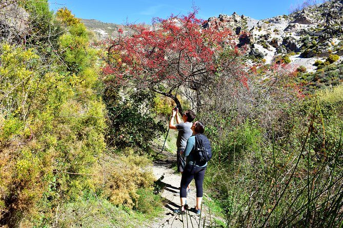 Hiking in the Canyon of the Monachil Cubs in Granada - The Los Cahorros Route: Bridges, Waterfalls, Tunnels, and the Tricky Bits