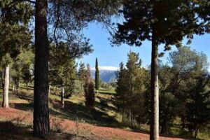 Hiking in the natural park on the outskirts of the Alhambra - La Silla del Moro: where the climb gets real