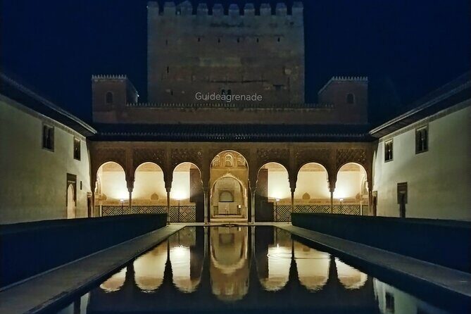 Night Tour of Alhambra and the Nasrid Palaces - Key highlights to watch for