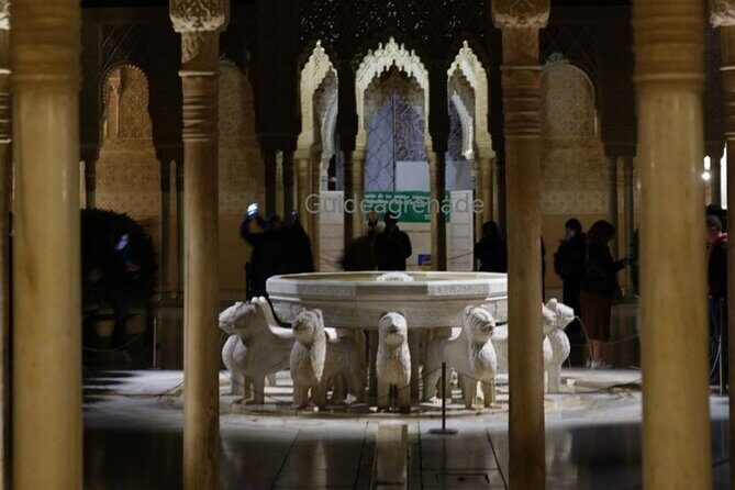 Night Tour of Alhambra and the Nasrid Palaces - Meeting point and the practical pace (90 minutes, small group)