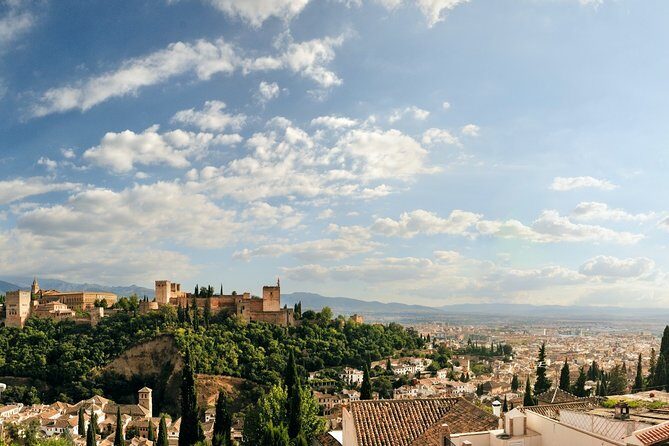 Old Granada Market & Food Tasting Tour - Ham, Cheese, and Olives: What You’re Really Sampling