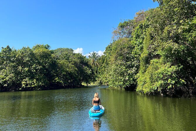 Paddle Boarding and Meditation Wellness Experience in Las Isletas - The Diana-led SUP coaching: from first wobble to real control