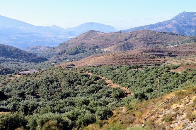 Premium Scenic Daytrip to Alpujarra Villages from Granada (Max 8) - Fuente Agria: the sparkling iron-water detour for small vehicles