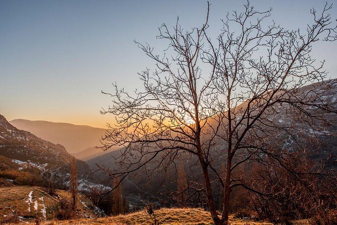Premium Scenic Daytrip to Alpujarra Villages from Granada (Max 8) - Value and timing: what $139 buys for an 8-hour day