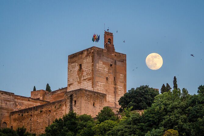 Private tour of the Alhambra entrances included - Key things you’ll notice on this private Alhambra tour
