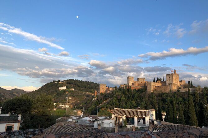 Private Tour of the Alhambra of Granada - Meeting at P.º del Generalife and planning your start