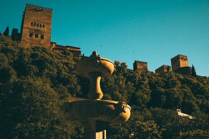 Private Tour to The Alhambra with Nasrid Palaces in Granada - Nasrid Palaces entry: what you gain with a guide