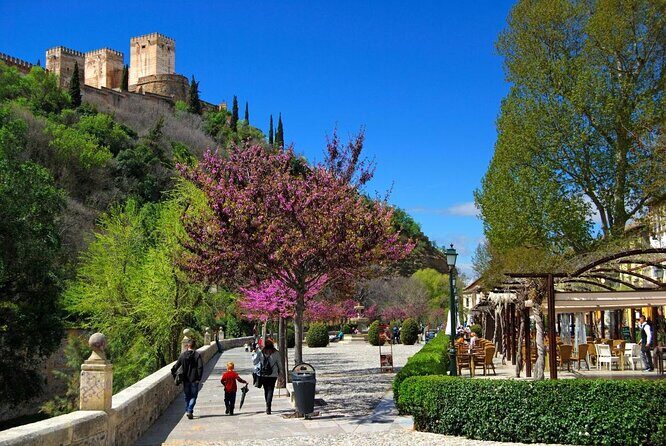 Segway Your Way Through Granada's History: The Ultimate Ride - Why a Segway Tour Works So Well in Hilly Granada