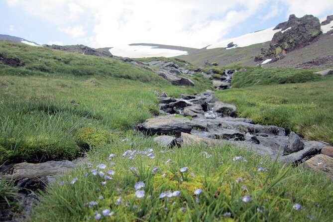 Sierra Nevada Day Trip from Granada. Small group up to 8 pax - What Sierra Nevada Is Really Like (And Why a Guide Helps)