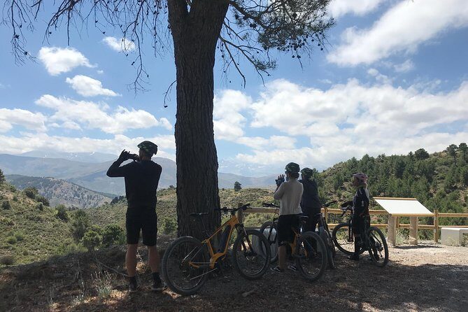 Sierra Nevada Ebike Tour Small Group - Price and Value: Why This Costs More Than a City Bike Rental
