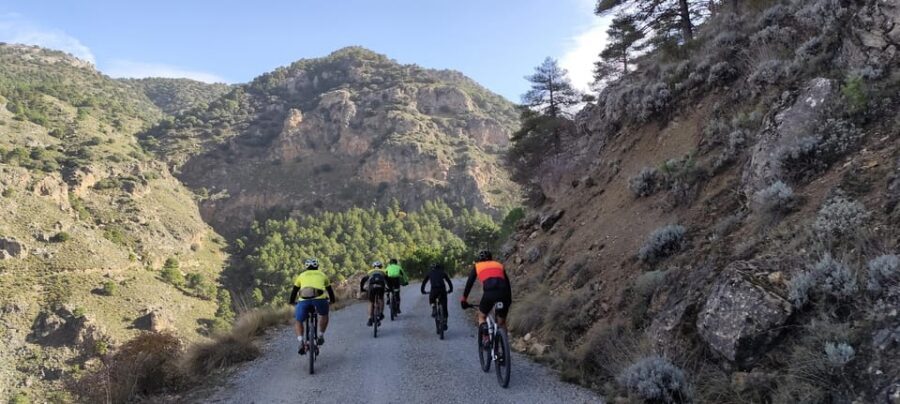 Sierra Nevada Small Group BIKE Tour - Price at $119: What You’re Really Paying For
