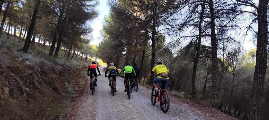 Sierra Nevada Small Group BIKE Tour - Should You Book Sierra Nevada Small Group BIKE Tour?