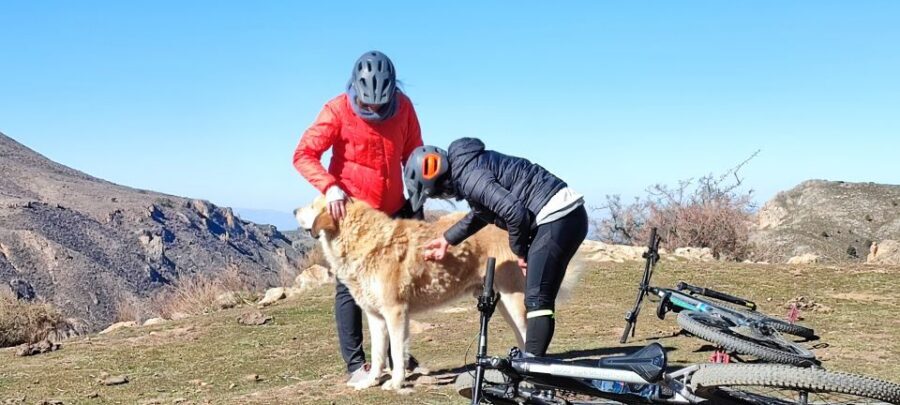 Sierra Nevada Small Group E-Bike Tour - Wildlife spotting and white villages: the stops that make the ride feel lived-in