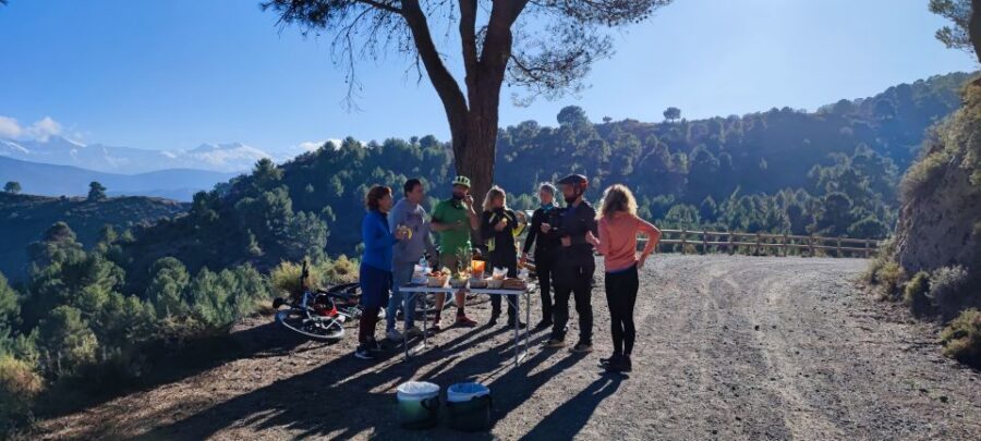 Sierra Nevada Small Group E-Bike Tour - Mid-tour breaks: coffee, fruit, and a picnic-style reset