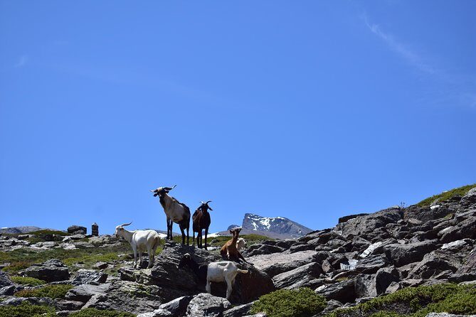 Sierra Nevada Tour (Granada) - The Ride Out From Granada: Tight Roads, Real Comfort