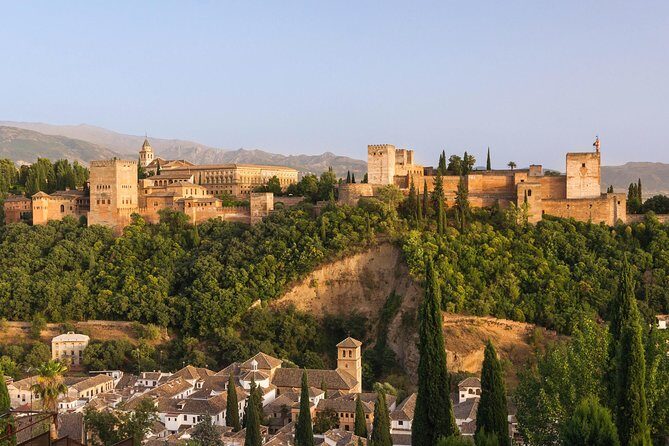 Skip the Line Alhambra Guided Tour - Guide and group size: smooth flow, or possible start-up confusion