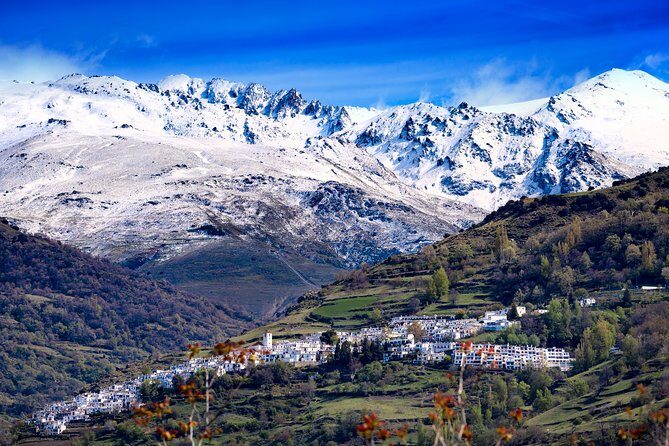 The Unchanged Villages of Alpujarra Small-Group Guided Day Trip - Price and what you’re really paying for ($311.21)