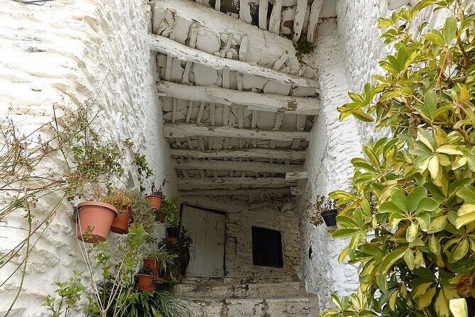 The Unchanged Villages of Alpujarra Small-Group Guided Day Trip - Small-group reality: fewer people, better pacing