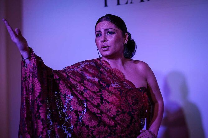 Traditional Flamenco Show - Casa del Arte Flamenco: What This Night Really Feels Like