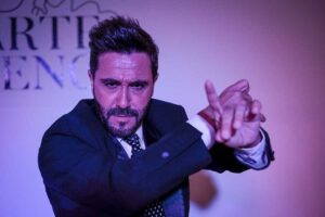 Traditional Flamenco Show - Price and Value: Is $24.20 a Smart Buy?